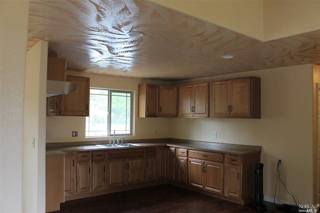 kitchen with extractor fan, dark hardwood / wood-style floors, and sink