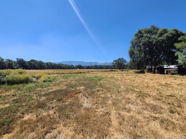 view of yard with a rural view