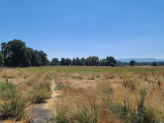 view of nature with a rural view