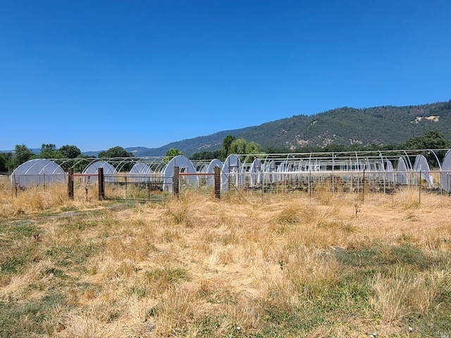 view of yard featuring a mountain view and a rural view