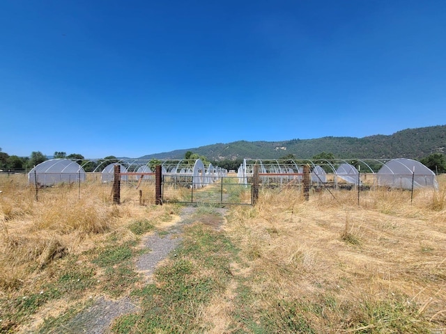 view of yard featuring a mountain view and a rural view