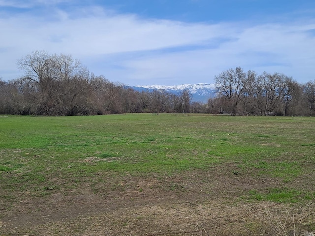 view of yard with a rural view