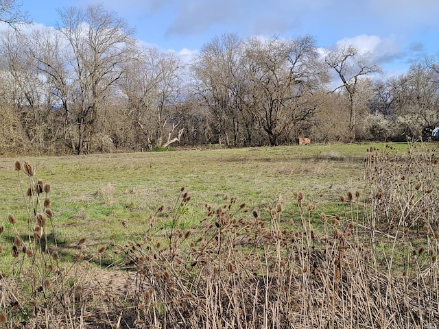 view of local wilderness featuring a rural view