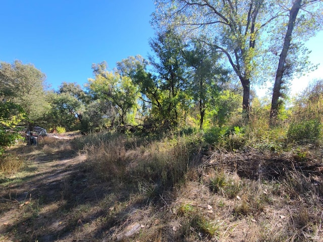 view of landscape