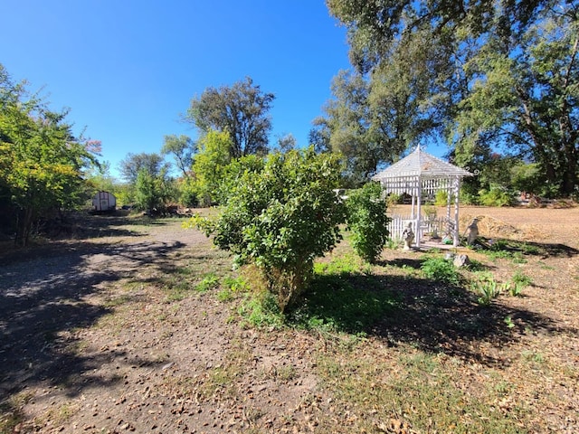 view of yard featuring a storage unit