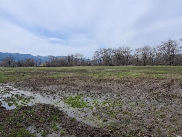 view of yard featuring a mountain view and a rural view