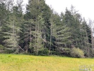 42207 Deer Trl, The Sea Ranch CA, 95497 land for sale