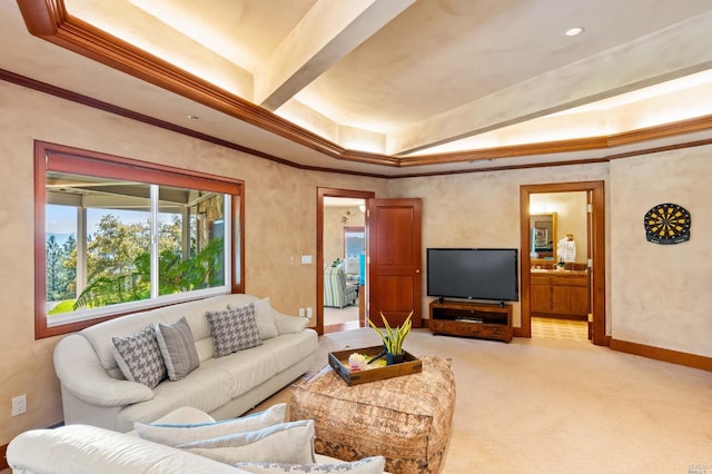 carpeted living room with a raised ceiling