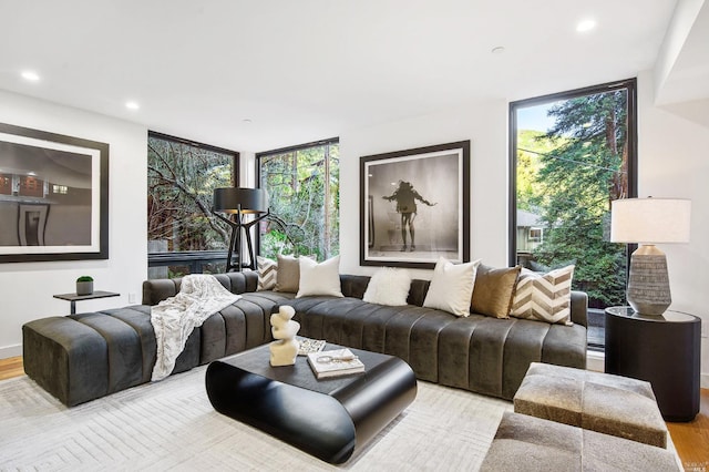 living room with a wall of windows and light wood-type flooring