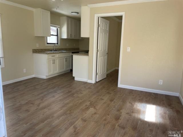 kitchen featuring white cabinetry, dark wood-type flooring, sink, and ornamental molding