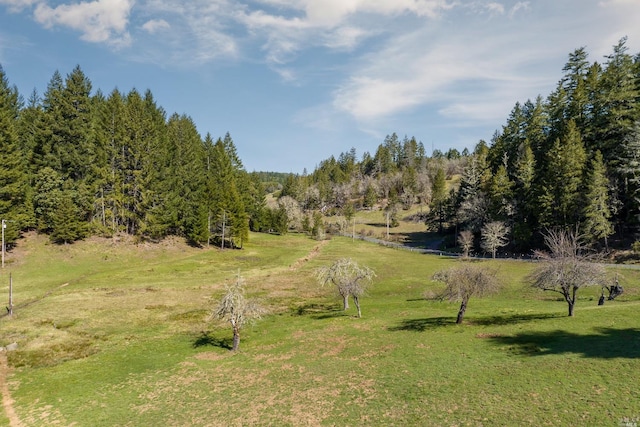 31650 Sherwood Rd, Willits, CA 95490 - view of local wilderness