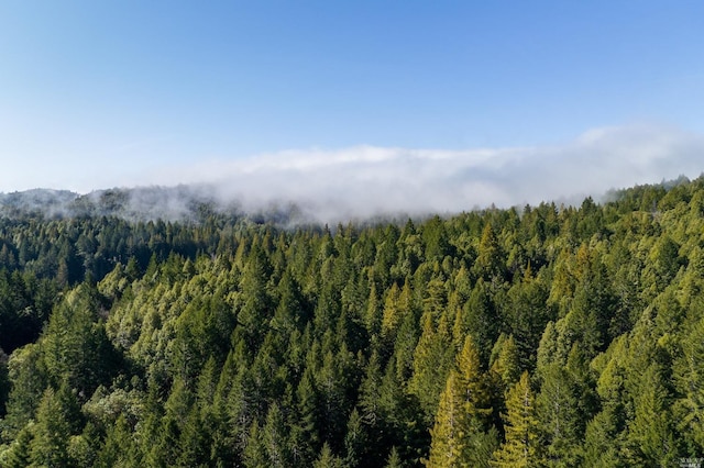 31650 Sherwood Rd, Willits, CA 95490 - view of nature with a view of trees and a mountain view