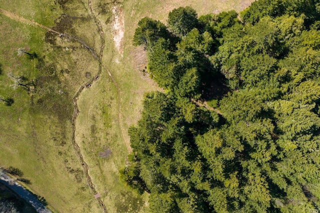 31650 Sherwood Rd, Willits, CA 95490 - drone / aerial view