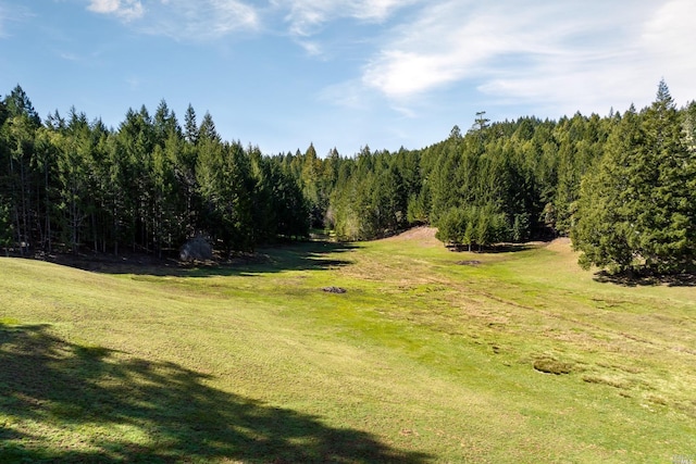 31650 Sherwood Rd, Willits, CA 95490 - view of landscape with a view of trees