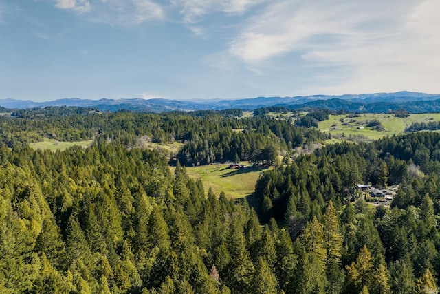 31650 Sherwood Rd, Willits, CA 95490 - birds eye view of property with a mountain view and a wooded view