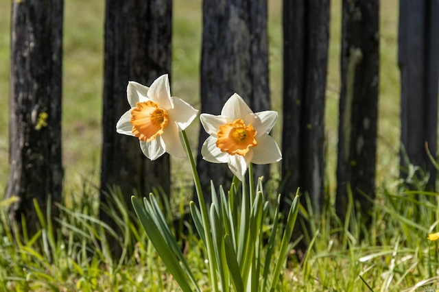 31650 Sherwood Rd, Willits, CA 95490 - view of details