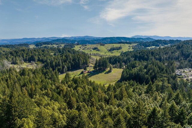 31650 Sherwood Rd, Willits, CA 95490 - birds eye view of property featuring a view of trees and a mountain view