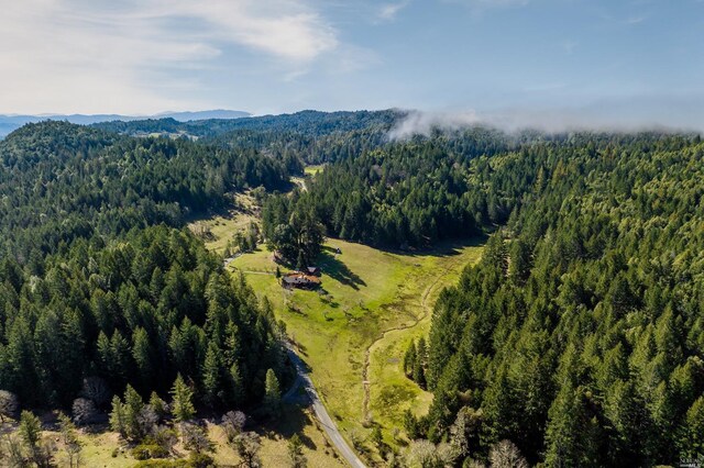 31650 Sherwood Rd, Willits, CA 95490 - drone / aerial view with a view of trees and a mountain view