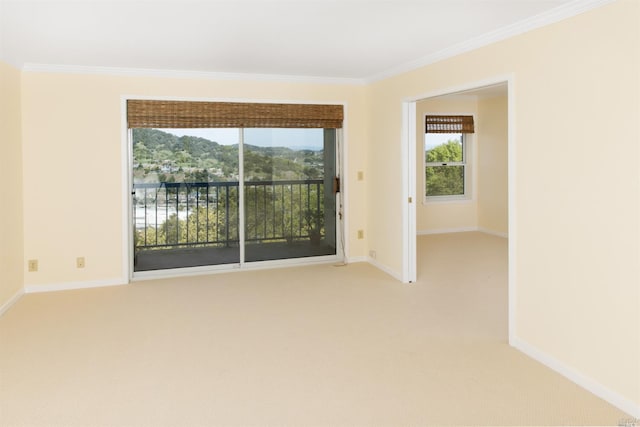 carpeted spare room featuring ornamental molding