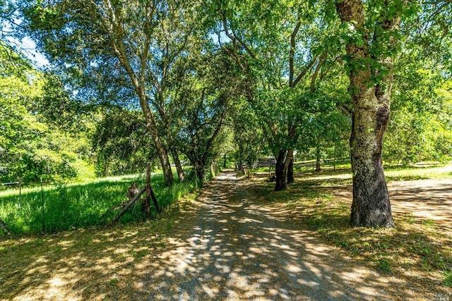 view of road