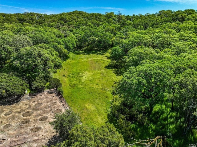 view of bird's eye view