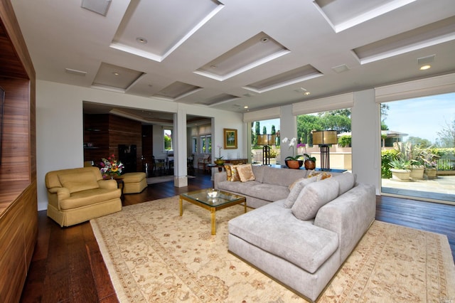 living room featuring wood walls and dark wood-type flooring