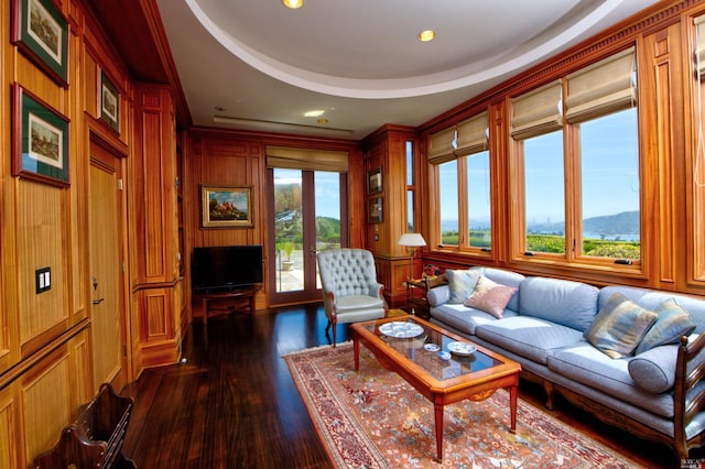 living room with plenty of natural light, dark hardwood / wood-style floors, and a raised ceiling