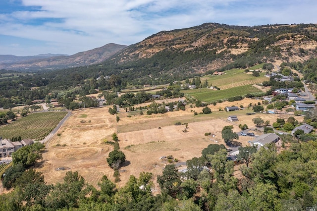 view of mountain view