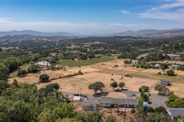birds eye view of property with a mountain view