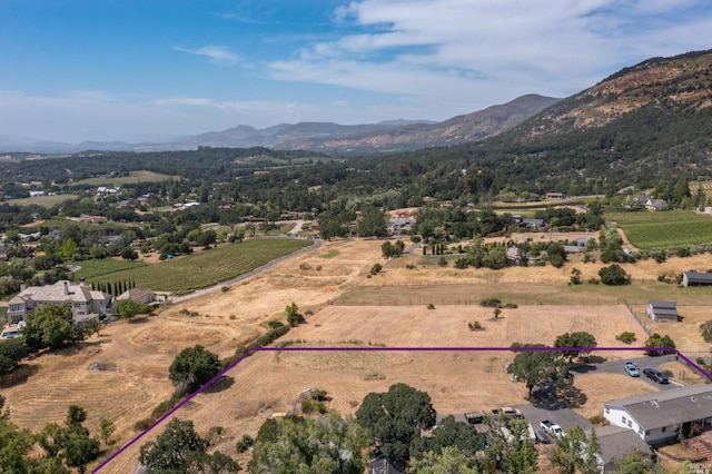 aerial view with a mountain view and a rural view