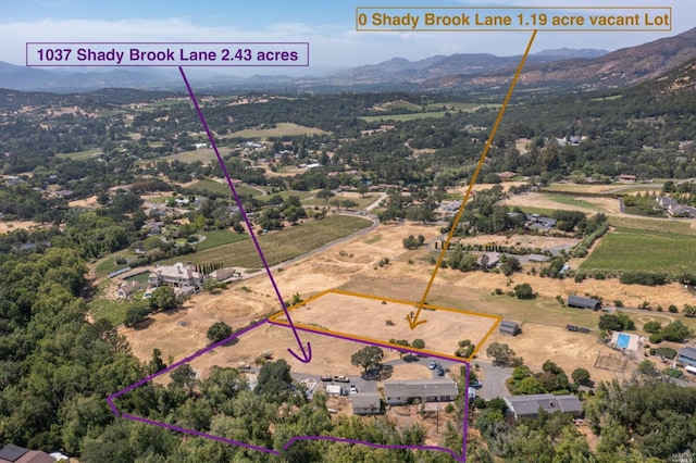 birds eye view of property featuring a mountain view