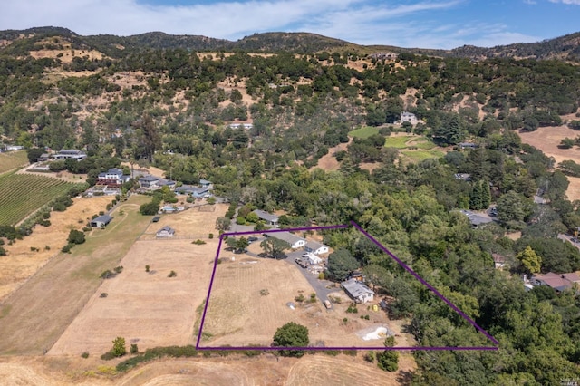 birds eye view of property featuring a mountain view
