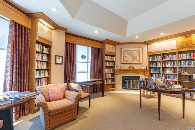 carpeted office space with built in shelves and a tray ceiling