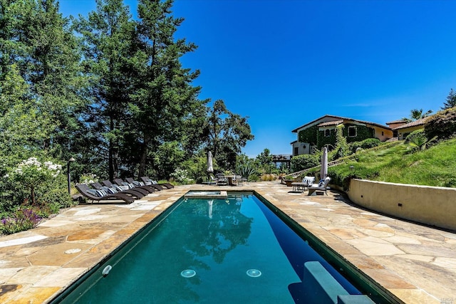 view of swimming pool with a patio