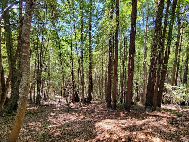 0 Clover Dr, Willits, CA 95490