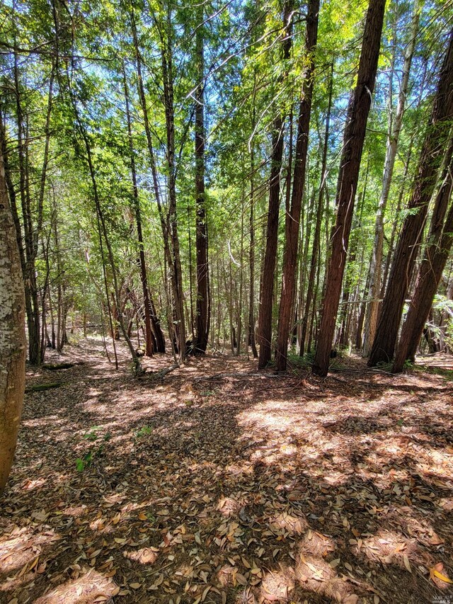 0 Clover Dr, Willits, CA 95490