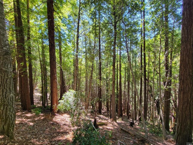 0 Clover Dr, Willits, CA 95490