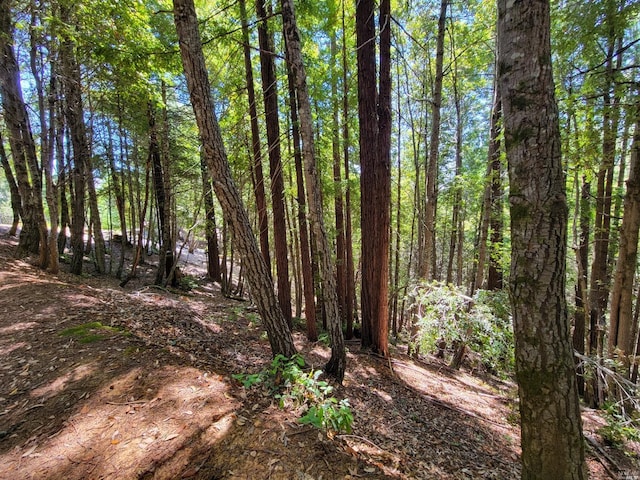 0 Clover Dr, Willits, CA 95490