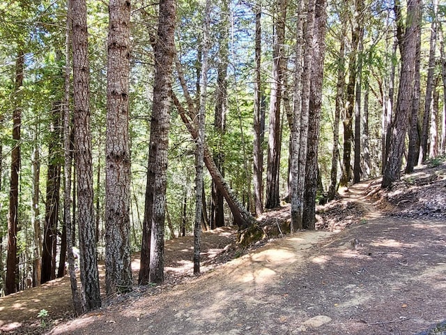 0 Clover Dr, Willits, CA 95490