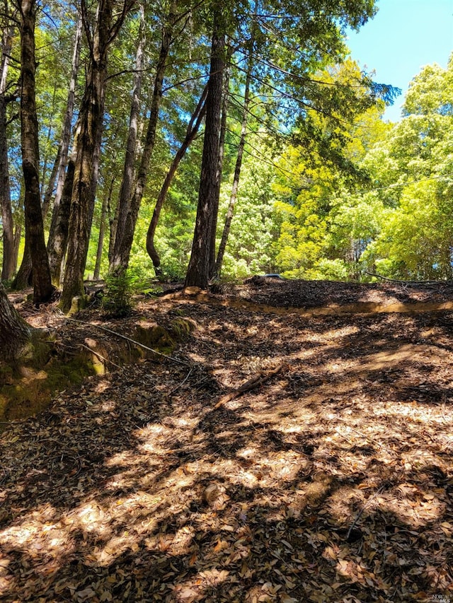 0 Clover Dr, Willits, CA 95490