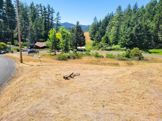 Listing photo 2 for 2891 Primrose Dr, Willits CA 95490