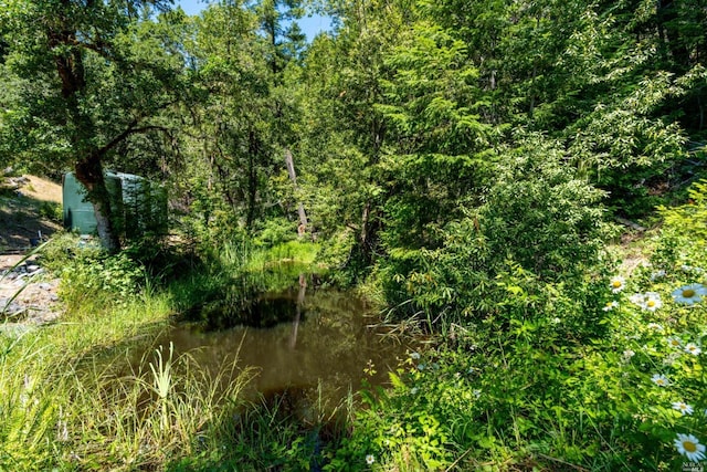 view of local wilderness with a water view