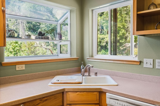 kitchen with dishwasher and sink