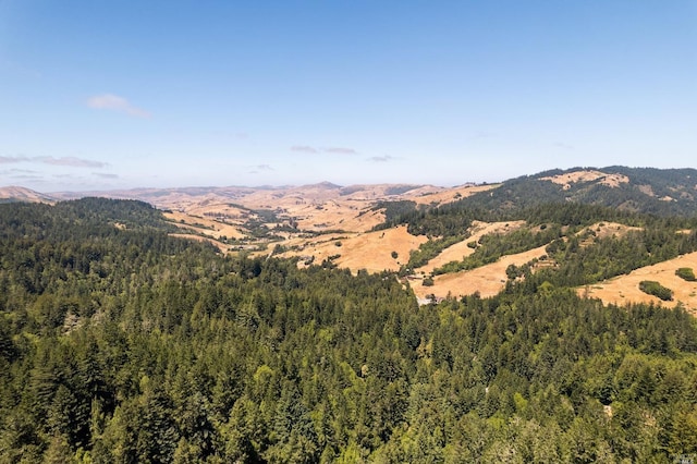 Listing photo 3 for 1401 Nicasio Valley Rd, Nicasio CA 94946