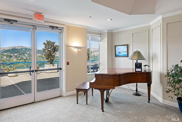 home office featuring light colored carpet