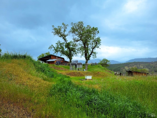 view of yard featuring a mountain view and a rural view