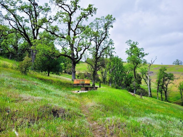 view of yard with a rural view