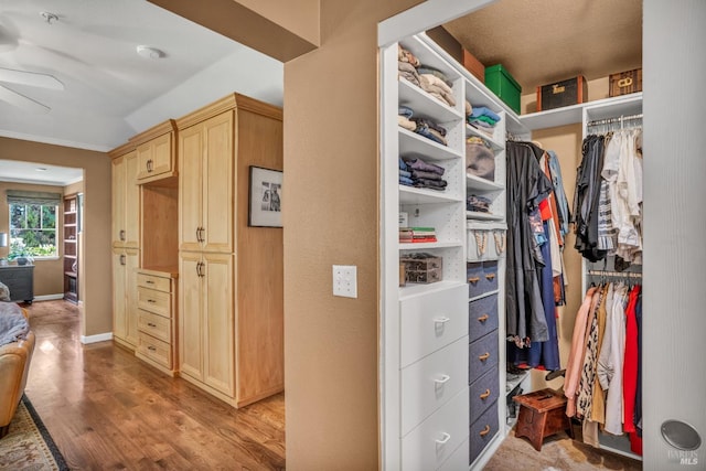 walk in closet with light hardwood / wood-style floors and ceiling fan