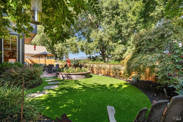 view of yard with a patio area