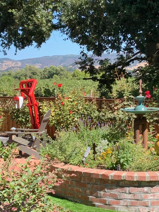 view of yard with a mountain view